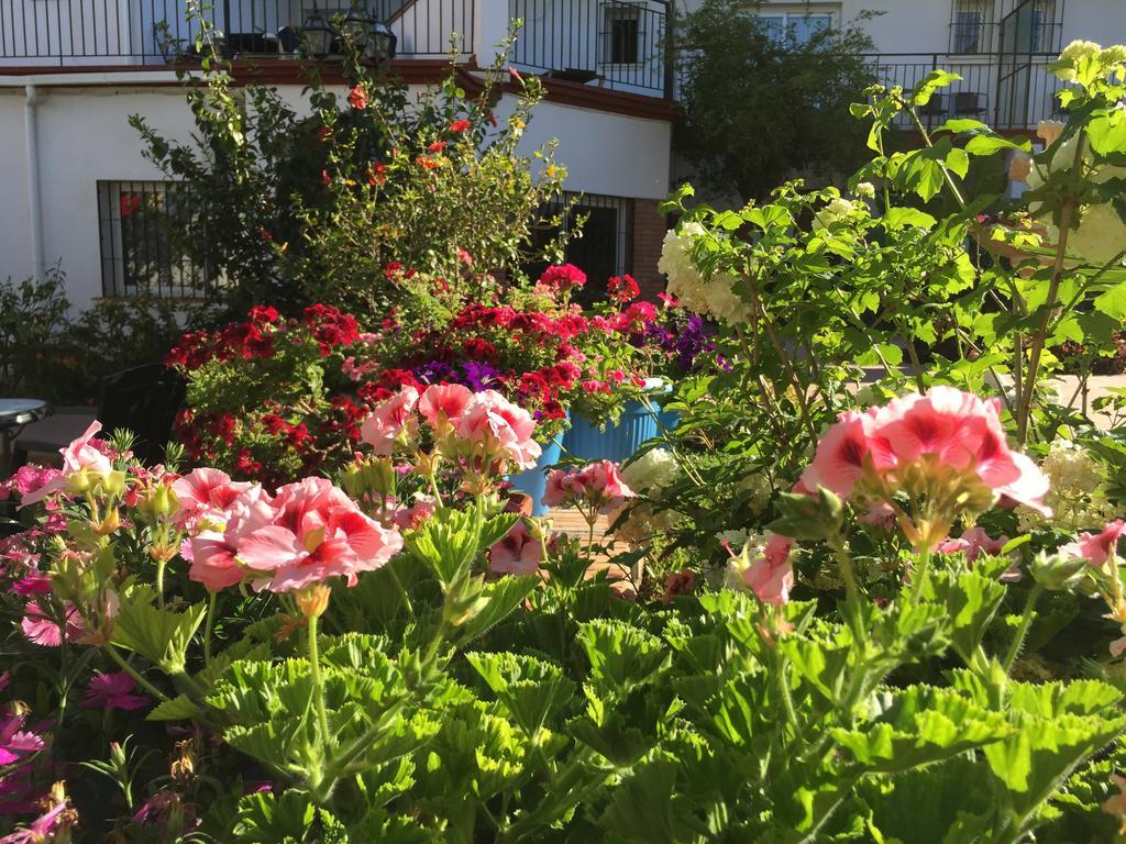 Hotel Carmen Teresa Τορρεμολίνος Εξωτερικό φωτογραφία