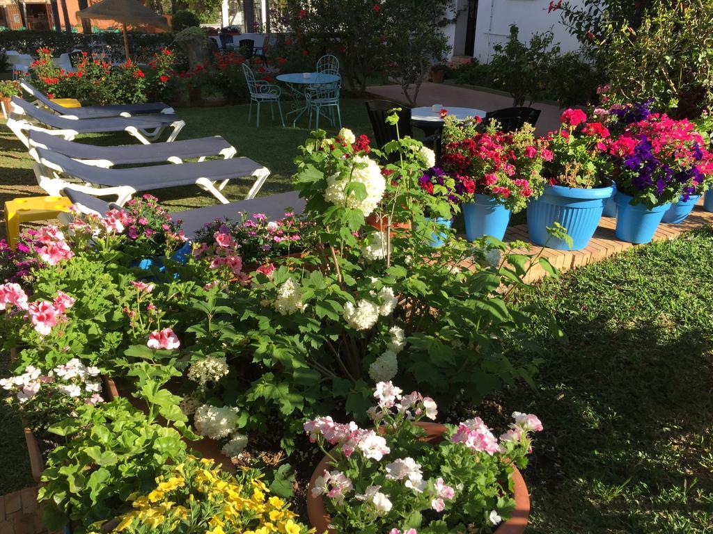 Hotel Carmen Teresa Τορρεμολίνος Εξωτερικό φωτογραφία