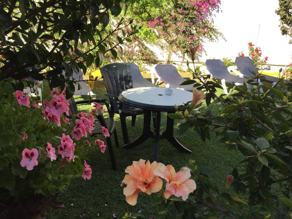 Hotel Carmen Teresa Τορρεμολίνος Εξωτερικό φωτογραφία