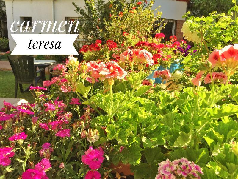 Hotel Carmen Teresa Τορρεμολίνος Εξωτερικό φωτογραφία