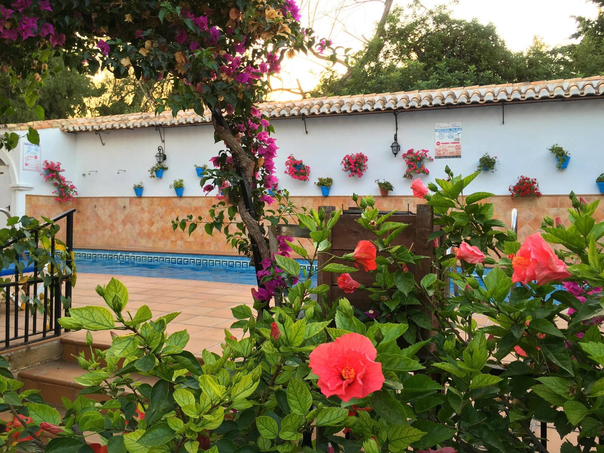Hotel Carmen Teresa Τορρεμολίνος Εξωτερικό φωτογραφία