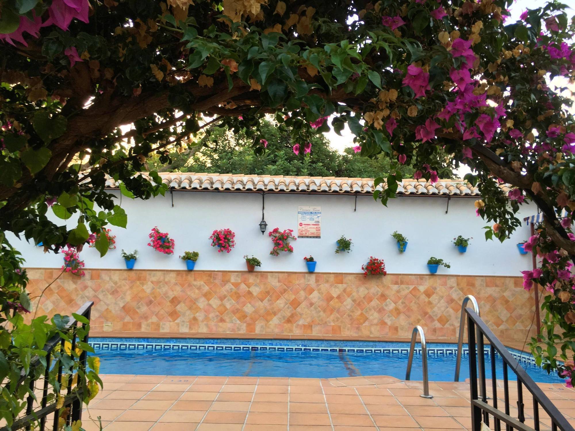 Hotel Carmen Teresa Τορρεμολίνος Εξωτερικό φωτογραφία